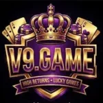 V9 Game