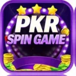 PKR Spin Game