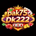 DK222 Game